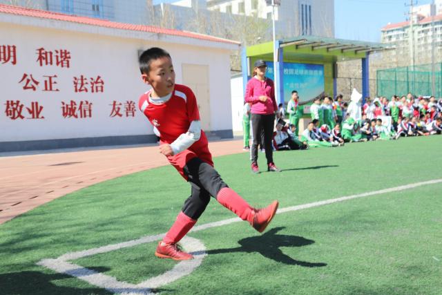 日本归化将检验杨瀚森成色 渡边：有实力击败中国男篮